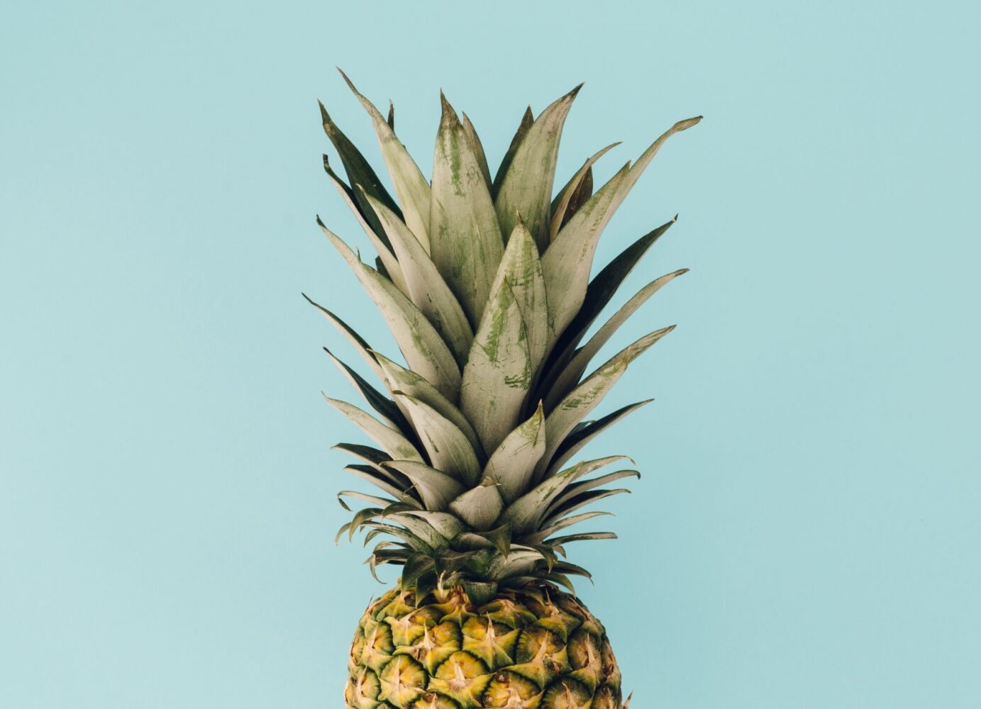 The Pineapple