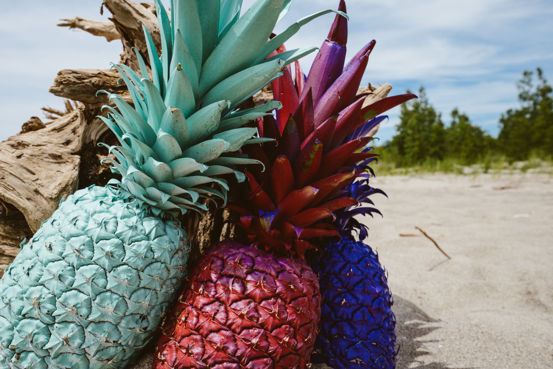 Colorful Pineapples